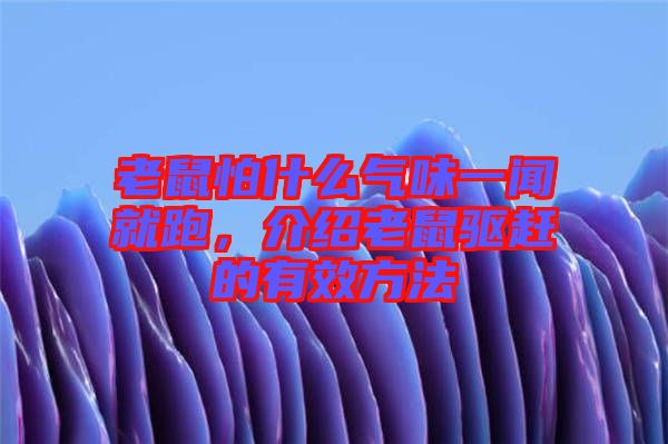 老鼠怕什么氣味一聞就跑，介紹老鼠驅(qū)趕的有效方法