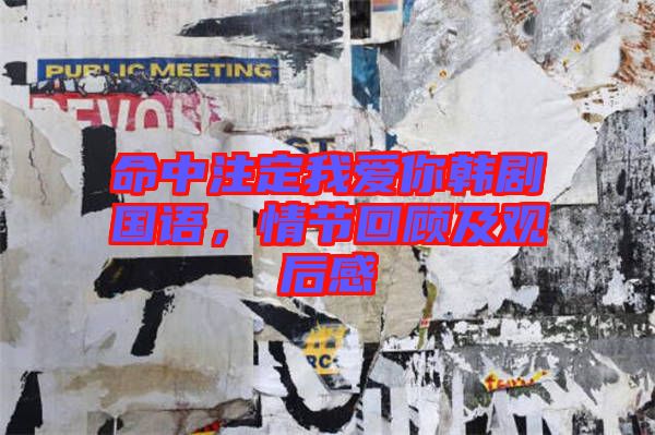 命中注定我愛你韓劇國(guó)語(yǔ)，情節(jié)回顧及觀后感