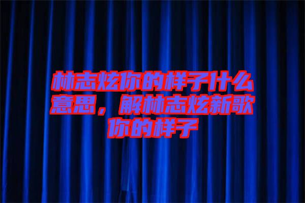 林志炫你的樣子什么意思，解林志炫新歌你的樣子