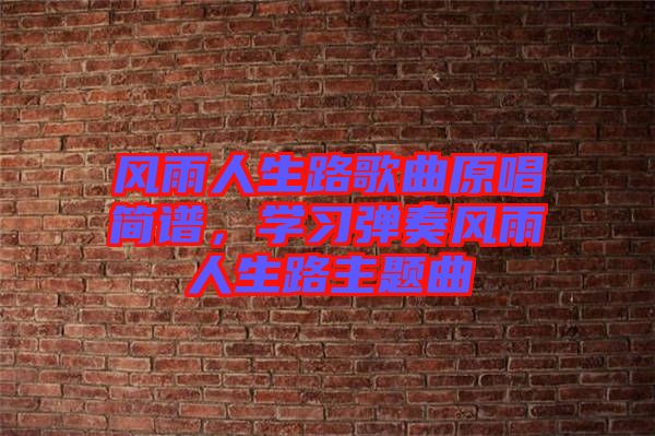 風(fēng)雨人生路歌曲原唱簡譜，學(xué)習(xí)彈奏風(fēng)雨人生路主題曲