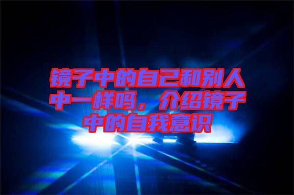 鏡子中的自己和別人中一樣嗎，介紹鏡子中的自我意識