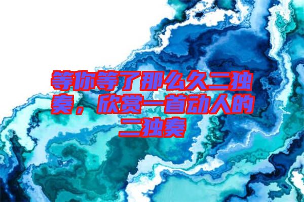 等你等了那么久二獨奏，欣賞一首動人的二獨奏