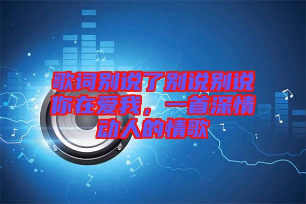 歌詞別說了別說別說你在愛我，一首深情動(dòng)人的情歌