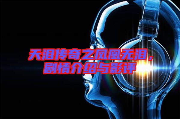 天淚傳奇之鳳凰無淚，劇情介紹與影評