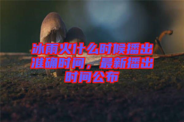 冰雨火什么時(shí)候播出準(zhǔn)確時(shí)間，最新播出時(shí)間公布