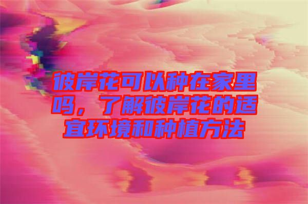 彼岸花可以種在家里嗎，了解彼岸花的適宜環(huán)境和種植方法