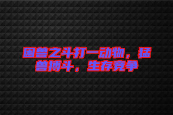 困獸之斗打一動物，猛獸搏斗，生存競爭