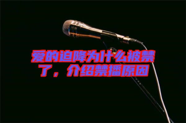 愛的迫降為什么被禁了，介紹禁播原因