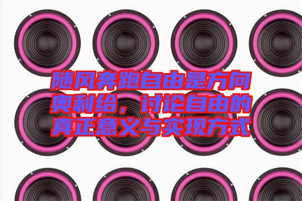 隨風(fēng)奔跑自由是方向奧利給，討論自由的真正意義與實現(xiàn)方式