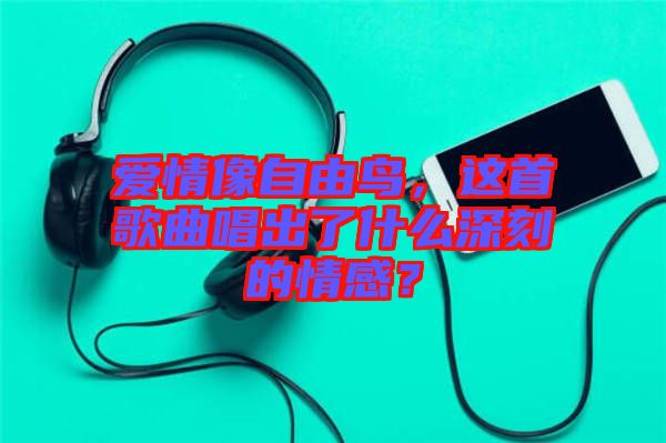 愛情像自由鳥，這首歌曲唱出了什么深刻的情感？