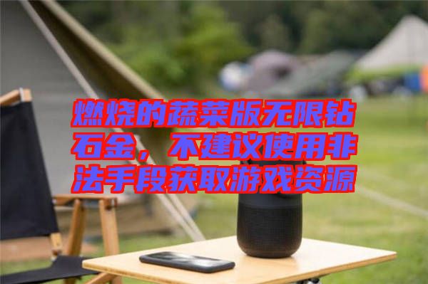 燃燒的蔬菜版無(wú)限鉆石金，不建議使用非法手段獲取游戲資源
