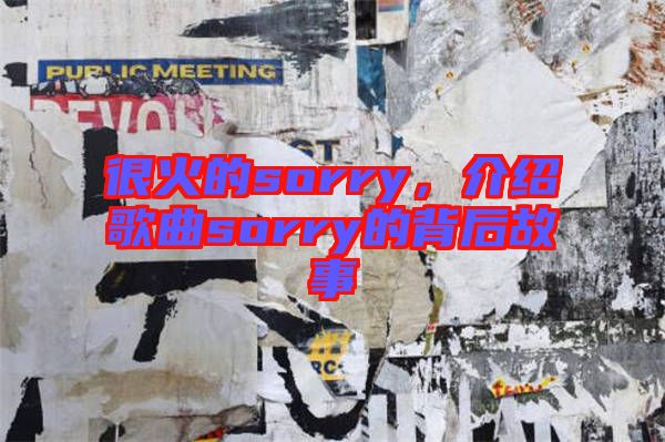 很火的sorry，介紹歌曲sorry的背后故事