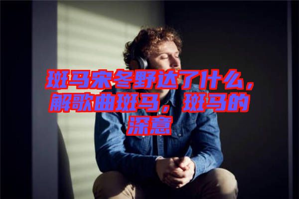 斑馬宋冬野達(dá)了什么，解歌曲斑馬，斑馬的深意