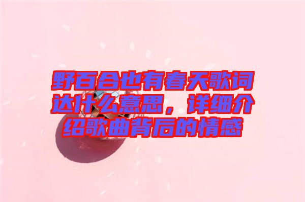 野百合也有春天歌詞達什么意思，詳細介紹歌曲背后的情感
