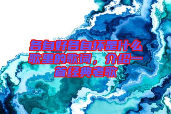 各自好各自壞是什么歌里的歌詞，介紹一首經(jīng)典老歌