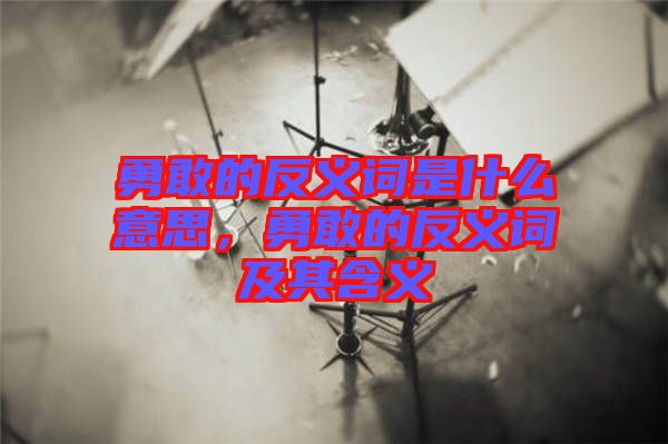 勇敢的反義詞是什么意思，勇敢的反義詞及其含義