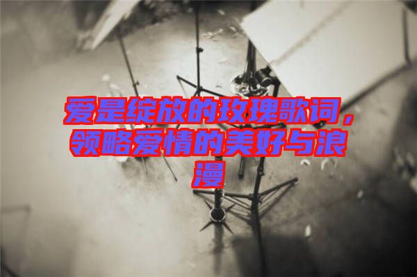 愛(ài)是綻放的玫瑰歌詞，領(lǐng)略愛(ài)情的美好與浪漫