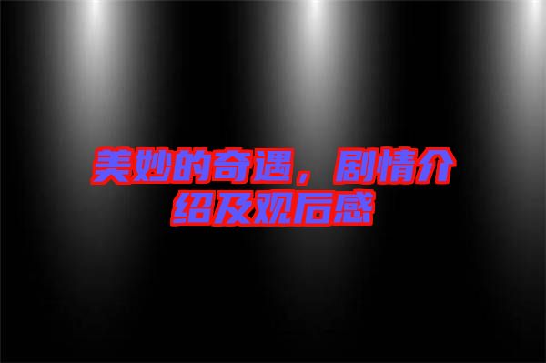 美妙的奇遇，劇情介紹及觀后感
