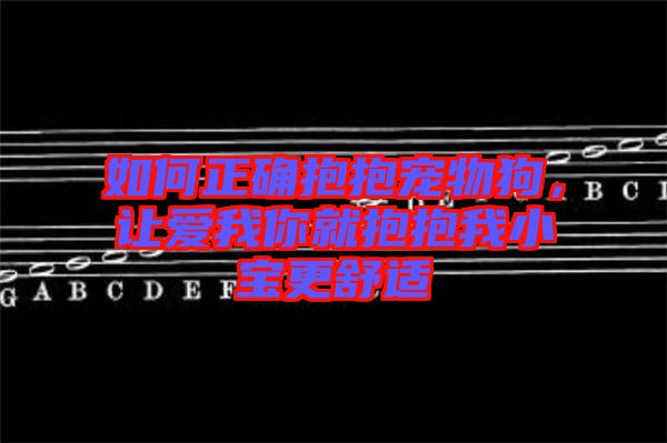 如何正確抱抱寵物狗，讓愛我你就抱抱我小寶更舒適
