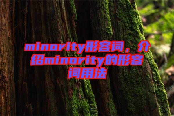 minority形容詞，介紹minority的形容詞用法