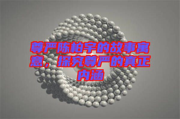 尊嚴(yán)陳柏宇的故事寓意，探究尊嚴(yán)的真正內(nèi)涵