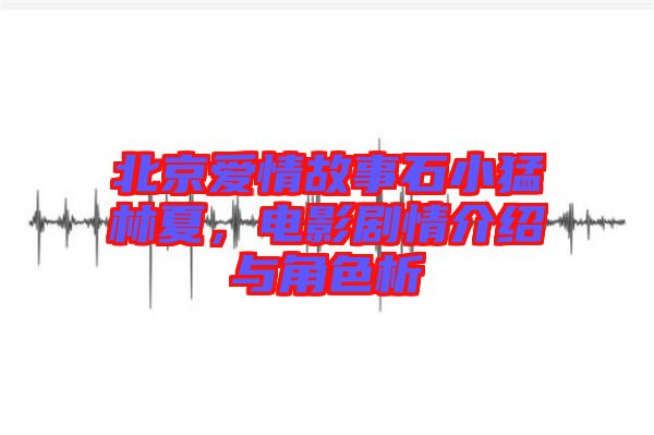 北京愛(ài)情故事石小猛林夏，電影劇情介紹與角色析