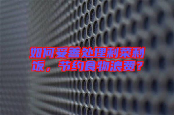 如何妥善處理剩菜剩飯，節(jié)約食物浪費(fèi)？