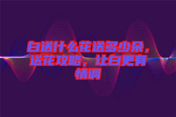 白送什么花送多少朵，送花攻略，讓白更有情調(diào)