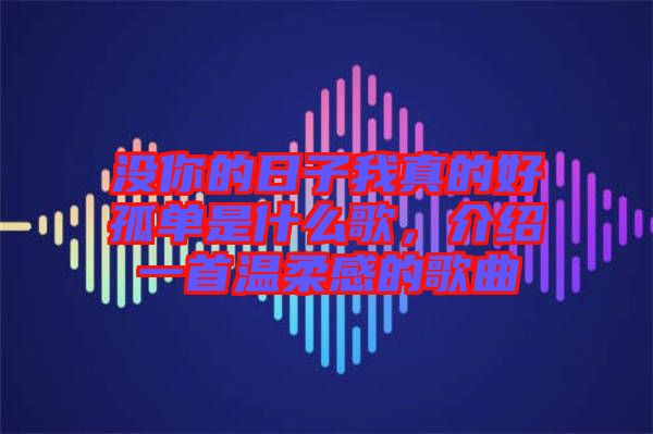 沒你的日子我真的好孤單是什么歌，介紹一首溫柔感的歌曲