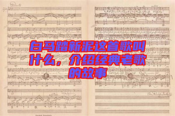 白馬踏新泥這首歌叫什么，介紹經(jīng)典老歌的故事