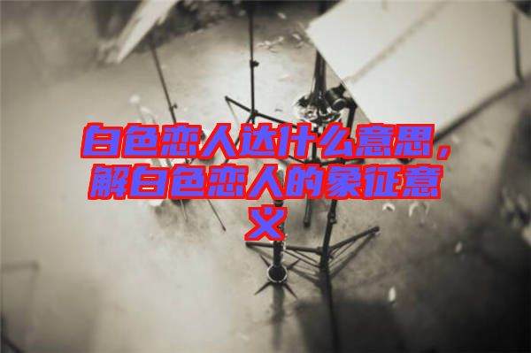 白色戀人達(dá)什么意思，解白色戀人的象征意義