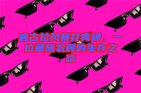 唐古拉風(fēng)暴打青稞，一位藏族農(nóng)民的生存之路