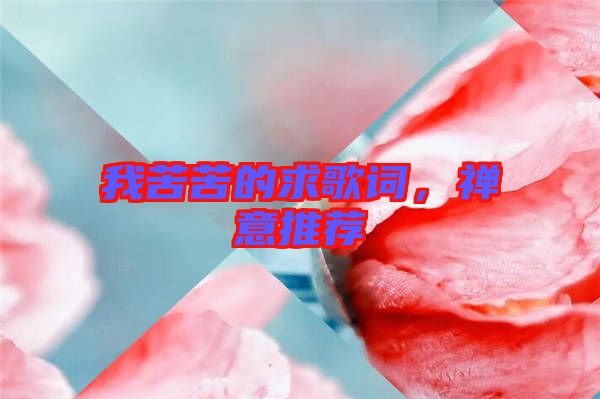 我苦苦的求歌詞，禪意推薦