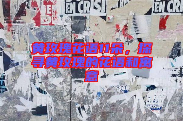 黃玫瑰花語(yǔ)11朵，探尋黃玫瑰的花語(yǔ)和寓意
