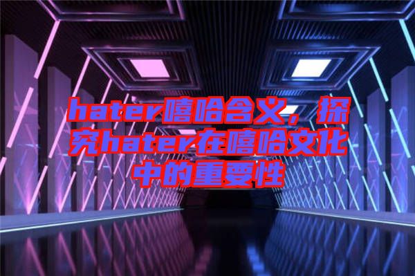 hater嘻哈含義，探究hater在嘻哈文化中的重要性