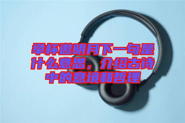 舉杯邀明月下一句是什么意思，介紹古詩(shī)中的意境和哲理