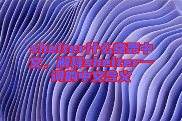 shelter什么意思中文，解釋shelter一詞的中文含義