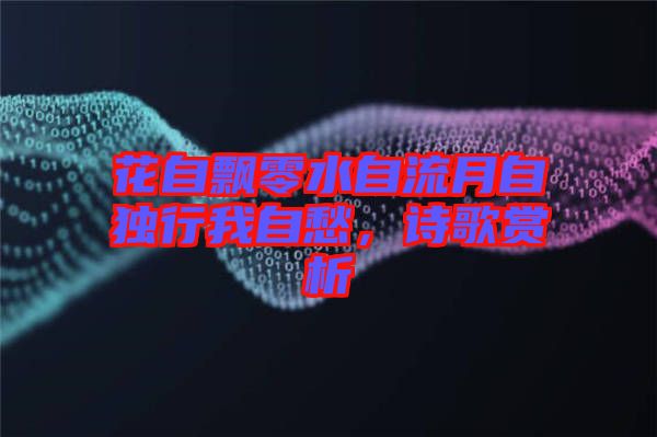 花自飄零水自流月自獨行我自愁，詩歌賞析