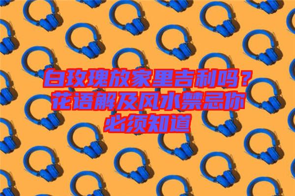 白玫瑰放家里吉利嗎？花語解及風(fēng)水禁忌你必須知道