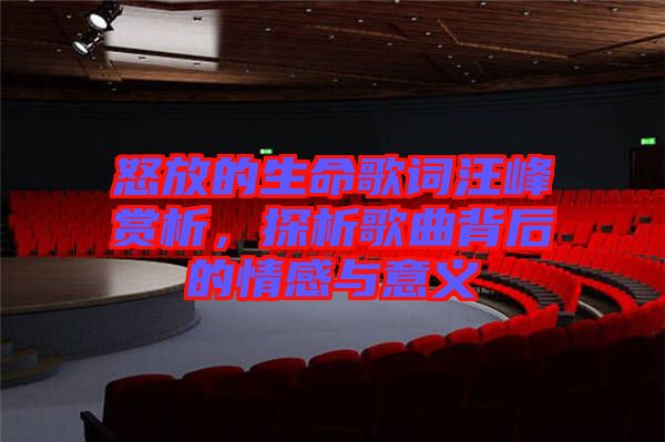 怒放的生命歌詞汪峰賞析，探析歌曲背后的情感與意義