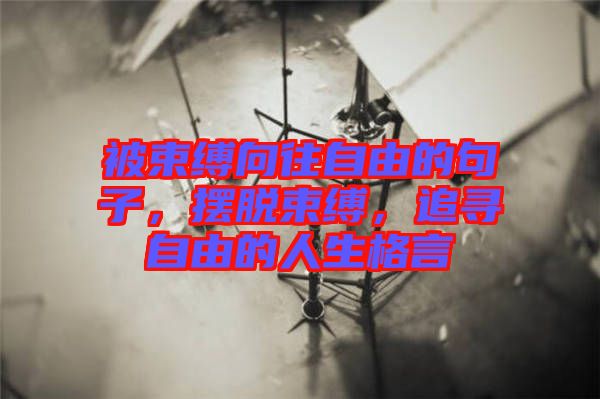 被束縛向往自由的句子，擺脫束縛，追尋自由的人生格言