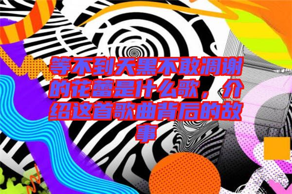 等不到天黑不敢凋謝的花蕾是什么歌，介紹這首歌曲背后的故事