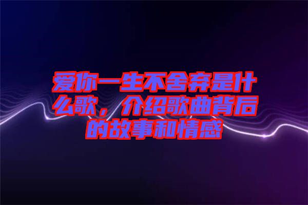 愛你一生不舍棄是什么歌，介紹歌曲背后的故事和情感