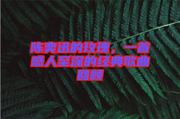 陳奕迅的玫瑰，一首感人至深的經(jīng)典歌曲回顧
