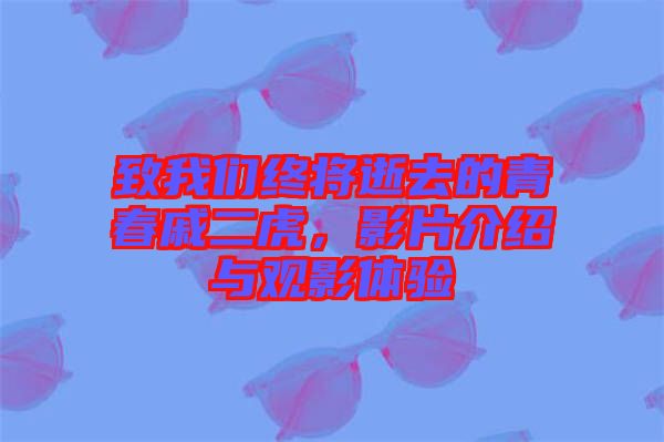 致我們終將逝去的青春戚二虎，影片介紹與觀影體驗(yàn)