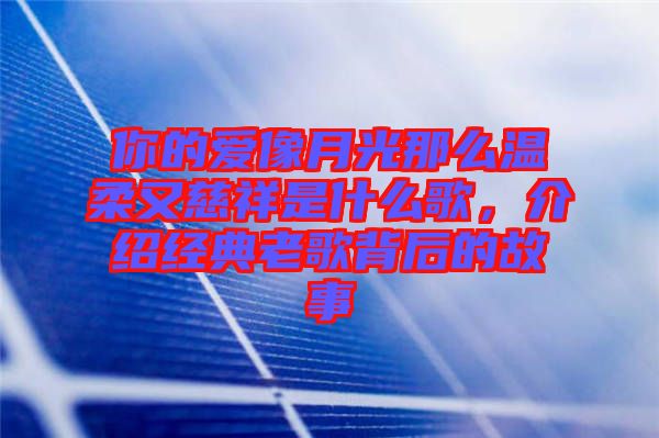 你的愛像月光那么溫柔又慈祥是什么歌，介紹經(jīng)典老歌背后的故事