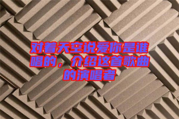對著天空說愛你是誰唱的，介紹這首歌曲的演唱者