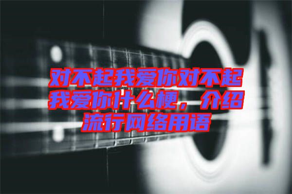對(duì)不起我愛(ài)你對(duì)不起我愛(ài)你什么梗，介紹流行網(wǎng)絡(luò)用語(yǔ)