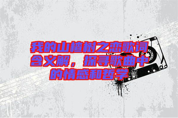我的山楂樹之戀歌詞含義解，探尋歌曲中的情感和哲學(xué)