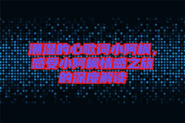潮濕的心歌詞小阿楓，感受小阿楓情感之旅的深度解讀
